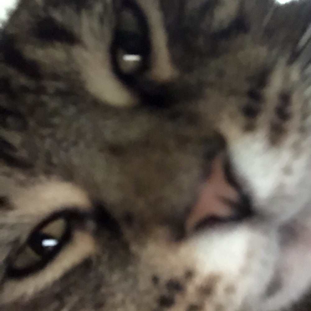 Meet your Posher, Tia